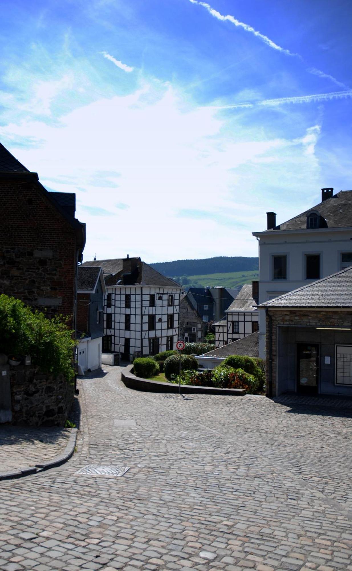 Villa Hottonruy 4 Stavelot Exterior foto